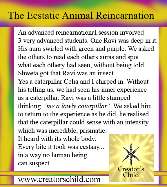 Death and Animal Past Life